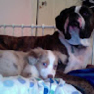 Meet your Posher, Camille